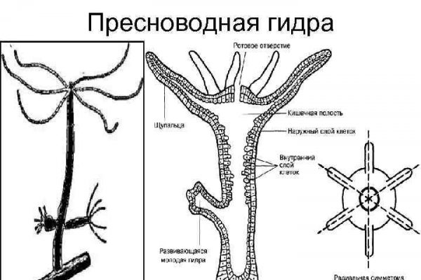 Зеркало ссылка омг