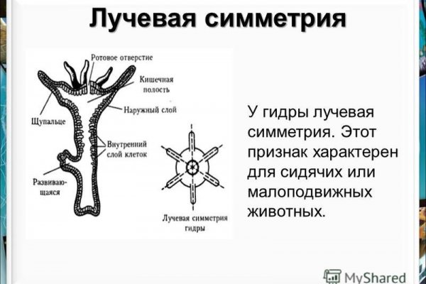 Омг омг ссылка на сайт